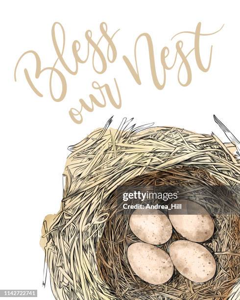 bless our nest bird nest with eggs pen and ink vector drawing layout - robin nest stock illustrations