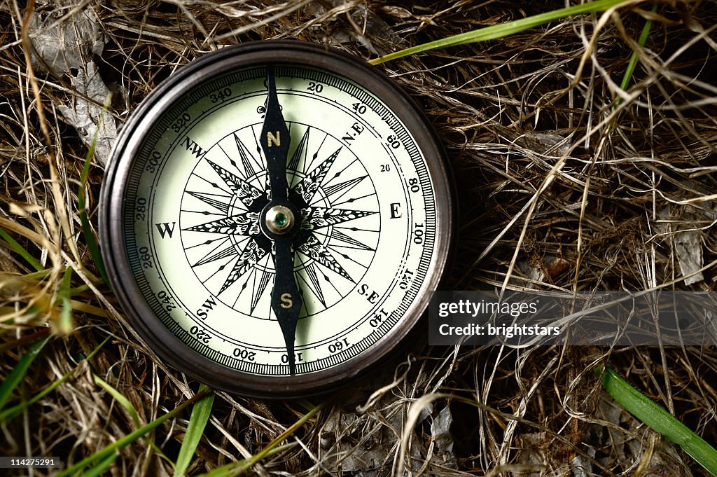 Compass on forest ground