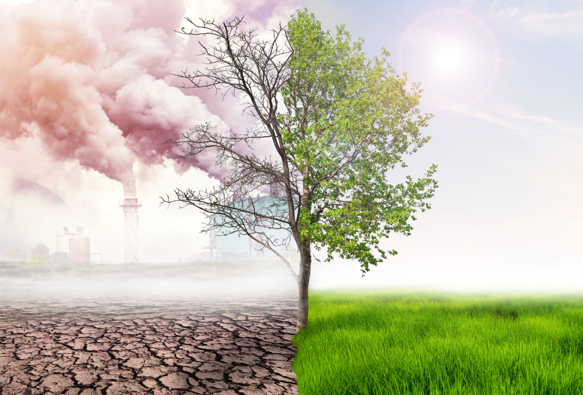 climate change effects