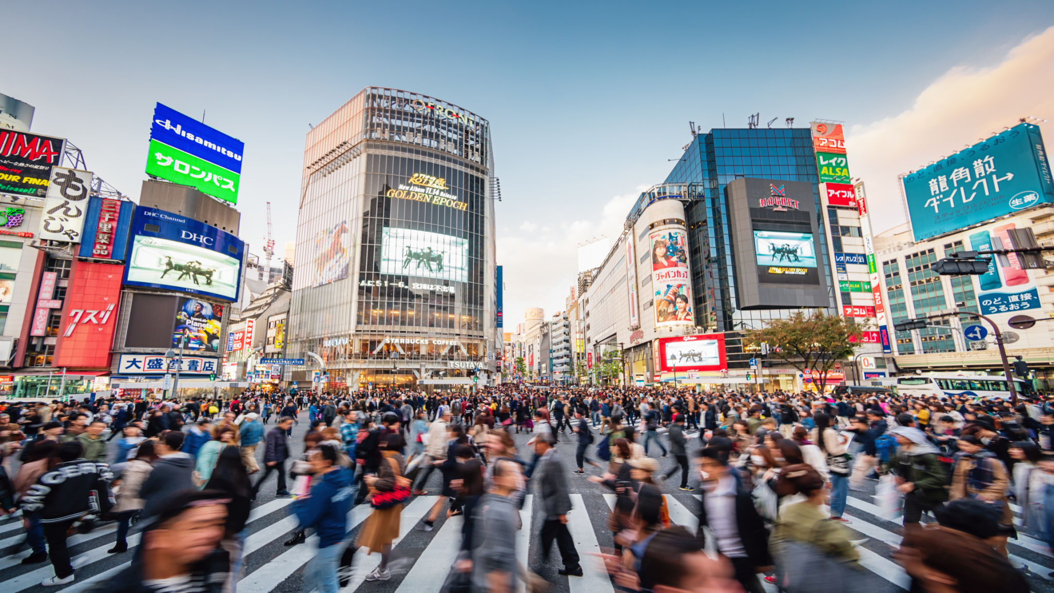 shibuya crossing