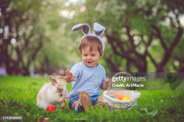 petit garçon mignon jouant avec le lapin sur la chasse d’oeuf de pâques - bunny eggs photos et images de collection