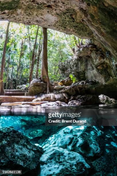 cenote entrance split-shot - playa del carmen stock-fotos und bilder