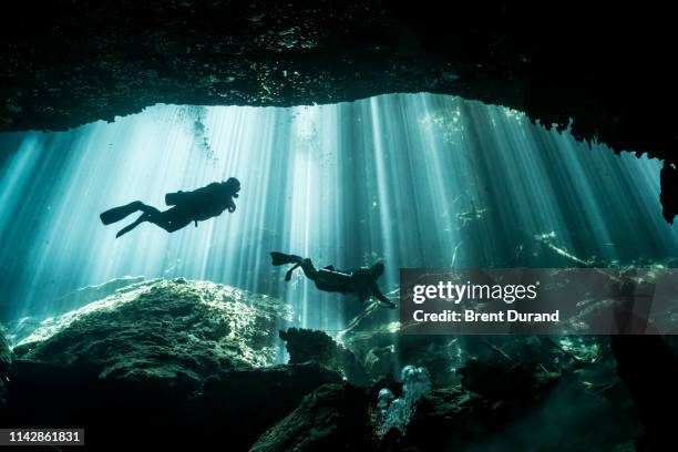scuba divers and light rays in eden cenote - pothole stockfoto's en -beelden