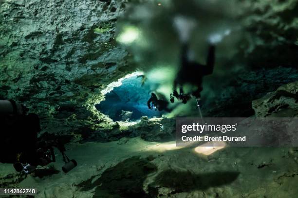 Haloclin 18 Halocline Stock Photos, High-Res Pictures, and Images - Getty Images