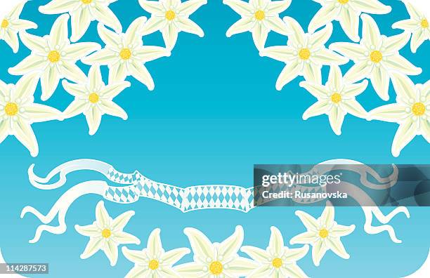 illustrazioni stock, clip art, cartoni animati e icone di tendenza di di auguri bavarese - edelweiss