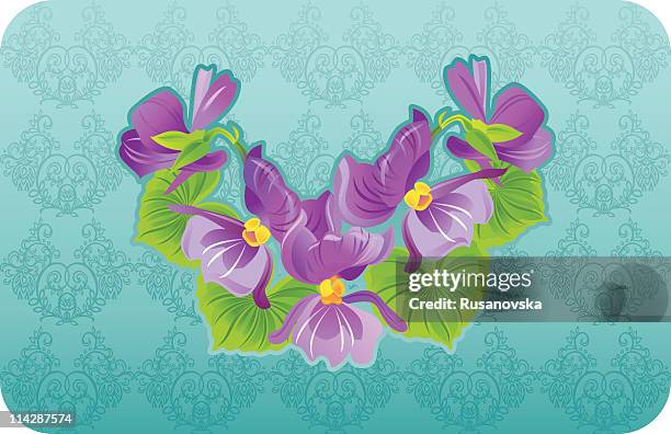 viola greeting card - african violet stock illustrations