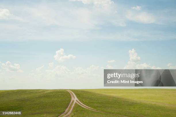 forked dirt road in remote landscape - two objects joined stock pictures, royalty-free photos & images