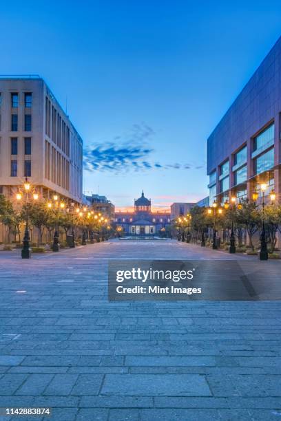 illuminated street lamps on city street at dusk, guadalajara, jalisco, mexico - guadalajara mexico stock pictures, royalty-free photos & images