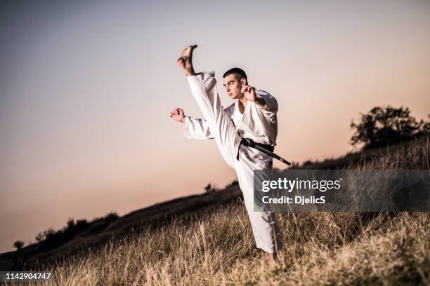 martial artist utför en kick kick i naturen. - hög spark bildbanksfoton och bilder