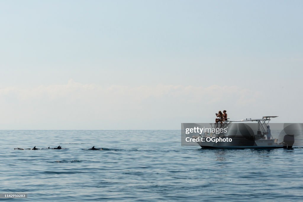 Turistas em uma excursão de observação do golfinho