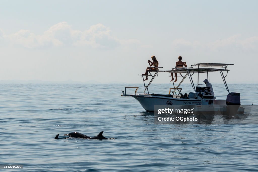 Tourists on a dolphin watching tour
