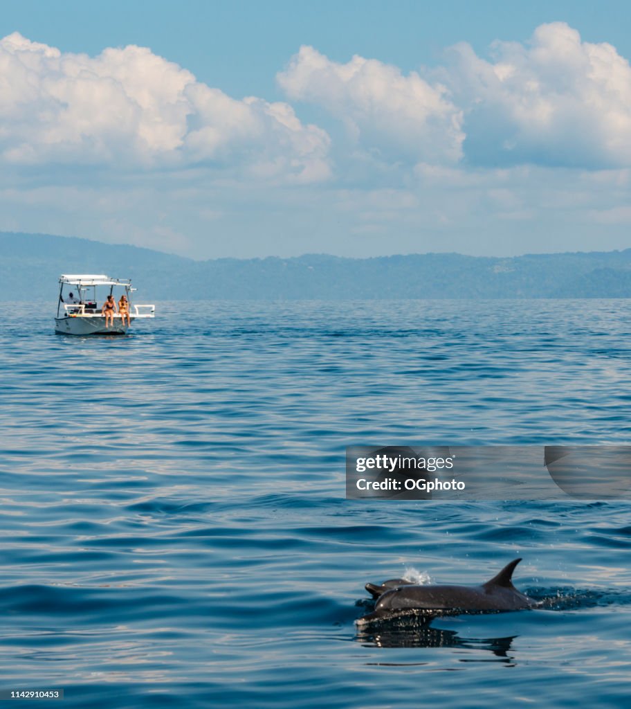 Tourists on a dolphin watching tour