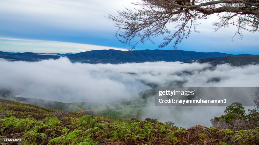 Mist over Arfak mountains and Anggi lakes, West Papua, Indonesia