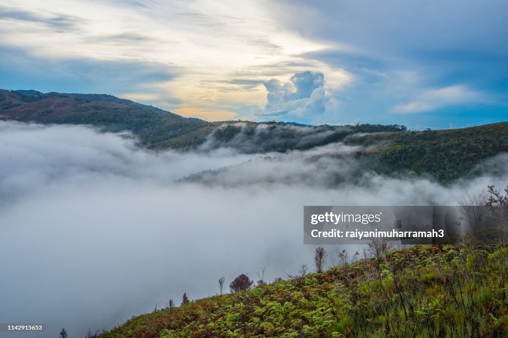 Mist over Arfak mountains and Anggi lakes, West Papua, Indonesia