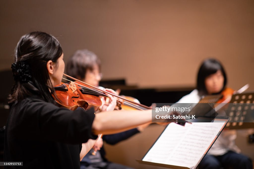 Musician playing violin at classical concert