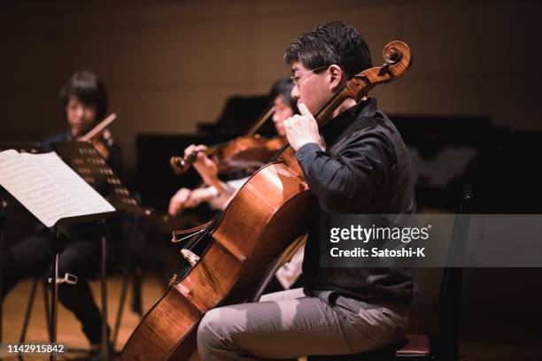 violin and cello concert - classical musician stock pictures, royalty-free photos & images