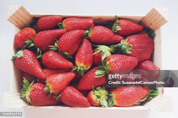 punnet of strawberries - punnet fotografías e imágenes de stock