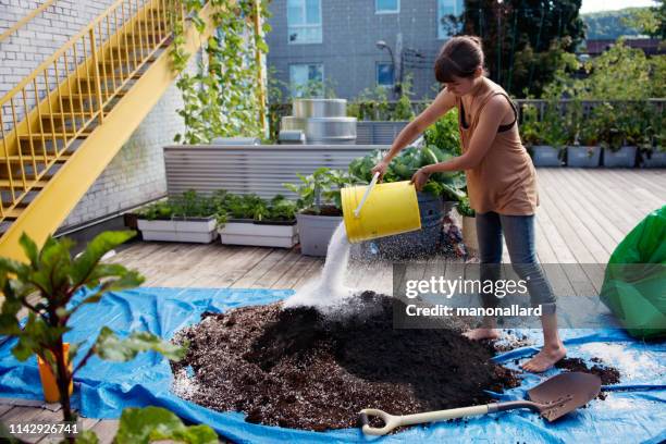 youg women mixing soil and compost in a rooftop community garden - mixing stock pictures, royalty-free photos & images