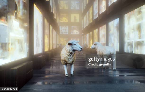 wondering consumers in shopping district - sheep walking stock pictures, royalty-free photos & images