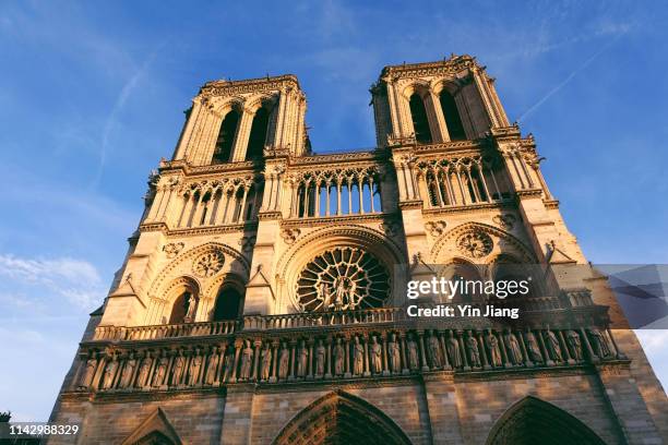 bell tower of notre dame de paris cathedral - île de la cité foto e immagini stock