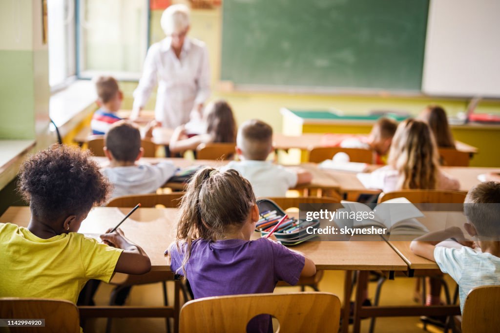 Rear view of elementary students attending a class in the classroom.