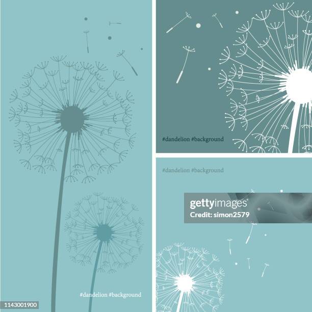 ilustraciones, imágenes clip art, dibujos animados e iconos de stock de silueta de diente de león en color verde fondo - diente de león