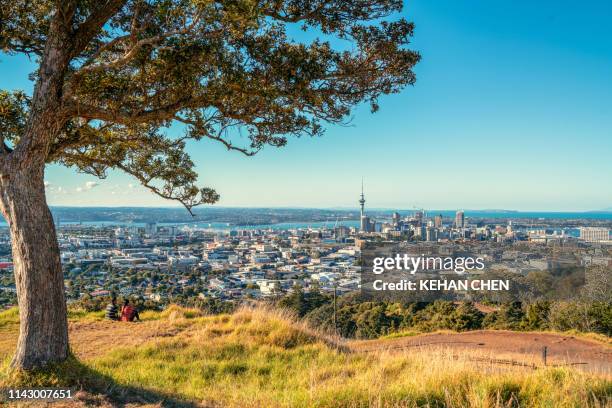 new zealand, north island, mount eden, auckland, cityscape - summer new zealand fotografías e imágenes de stock