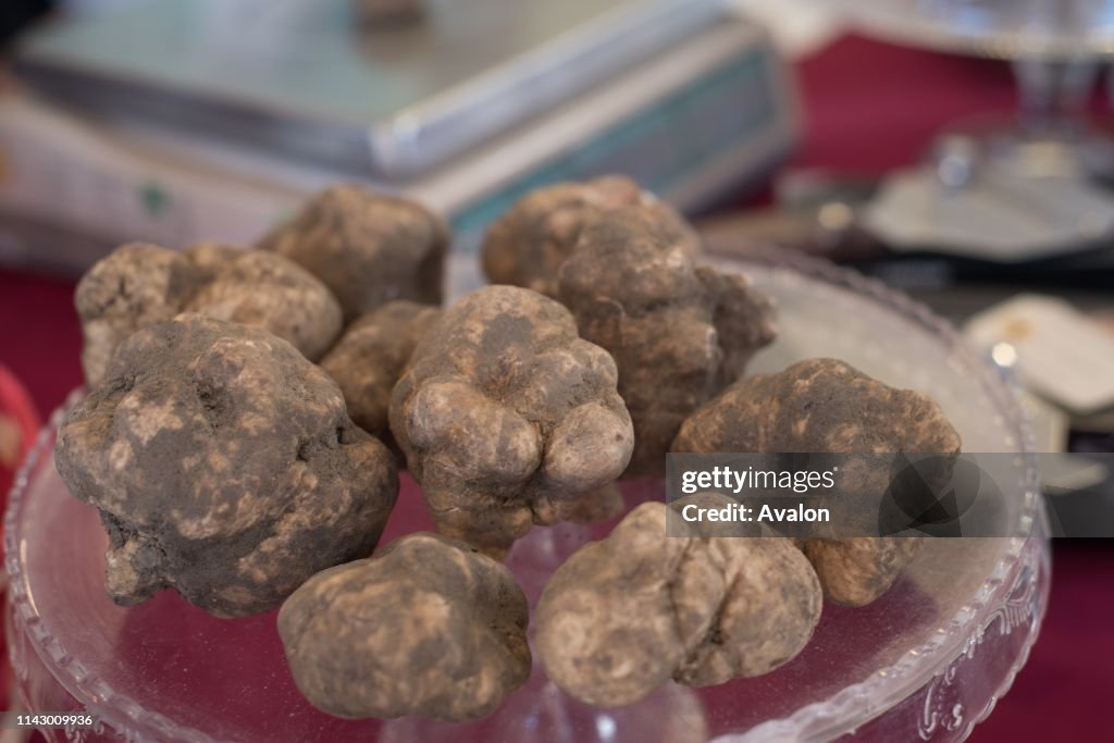 White truffle. Tuber Magnatum Pico, collected in the local woods and on sale during the November fair
