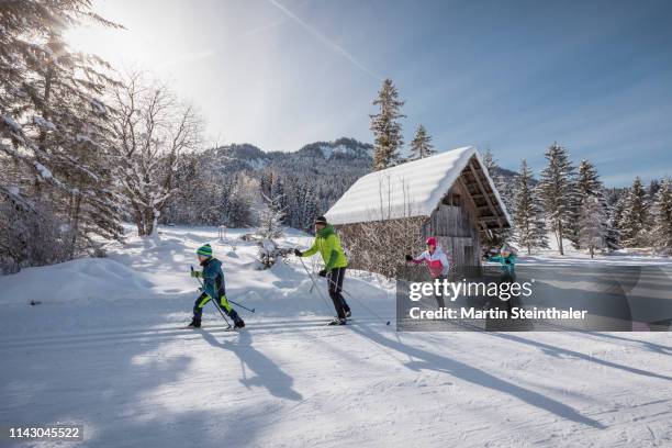 gruppe beim langlaufen im winter - langlaufen bildbanksfoton och bilder