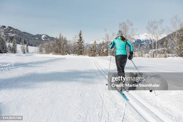 junge frau beim  ski langlaufen im winter - langlaufen fotografías e imágenes de stock