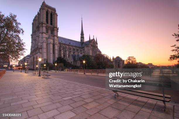 the empty street (pont au double) of notre dame de paris at dawn with beautiful sky. - church color light paris stockfoto's en -beelden