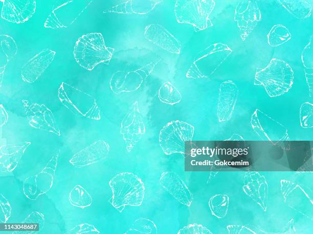 hand drawn white sea shells with watercolor turquoise blue abstract background. shells vector background, tropical background, tropical design element, summer concept, coastal background. - sea shell stock illustrations