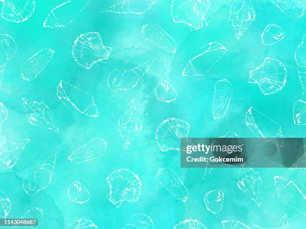 hand drawn white sea shells with watercolor turquoise blue abstract background. shells vector background, tropical background, tropical design element, summer concept, coastal background. - clam seafood stock illustrations