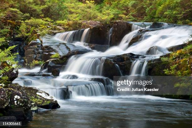 gloucester falls - hunter valley nsw stock-fotos und bilder