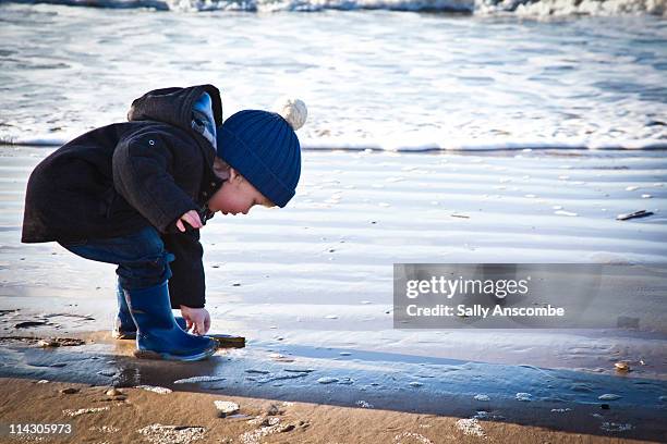 child collecting shells on beach - animal shell stock pictures, royalty-free photos & images