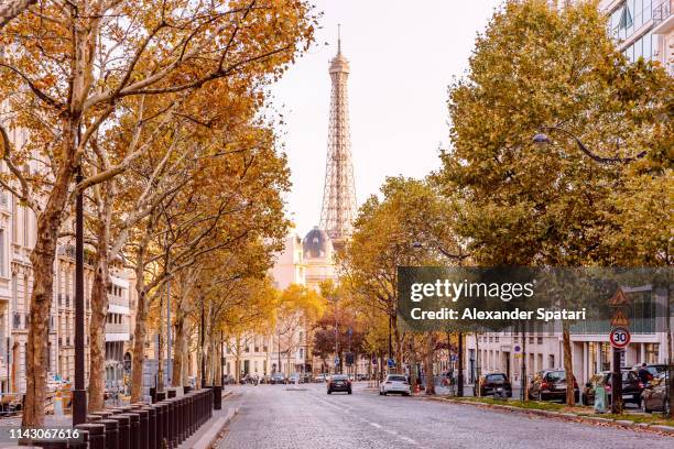 street in paris with eiffel towers and autumn trees, france - paris autumn stock pictures, royalty-free photos & images