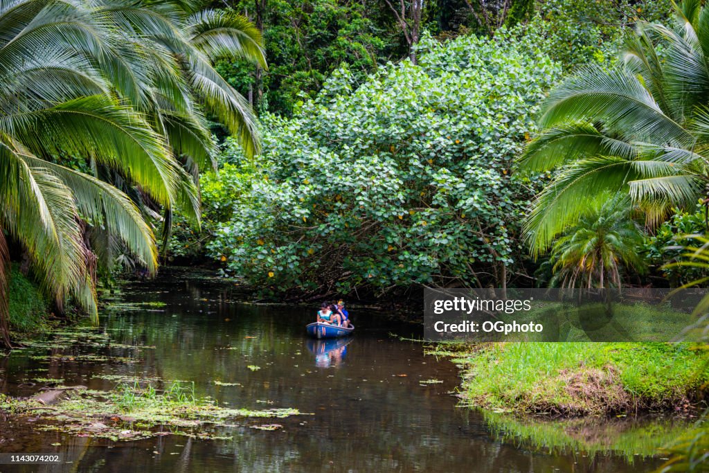 Tourists on a wildlife boat tour