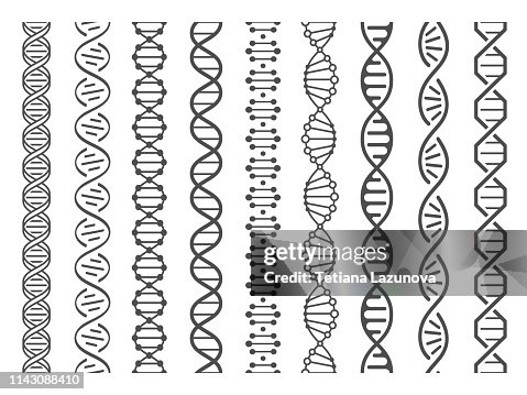 Adn Pattern Seamless Dna Spiral Adn Helix Structure Genomic Model And Human ...