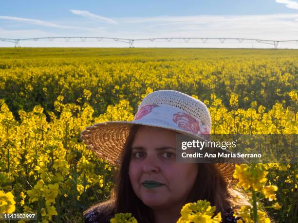 a woman in a rapeseed field - center pivot irrigation stock pictures, royalty-free photos & images