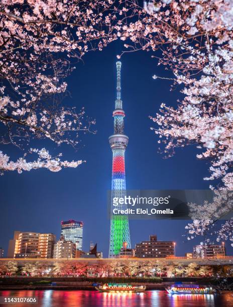 tokyo skytree tower sakura cherry blossom long exposure at night paralympic red blue green colors flag. japan - tokyo japan cherry blossom stock pictures, royalty-free photos & images