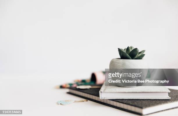 office desk, office supplies and succulent plant on white - office work flat lay stockfoto's en -beelden