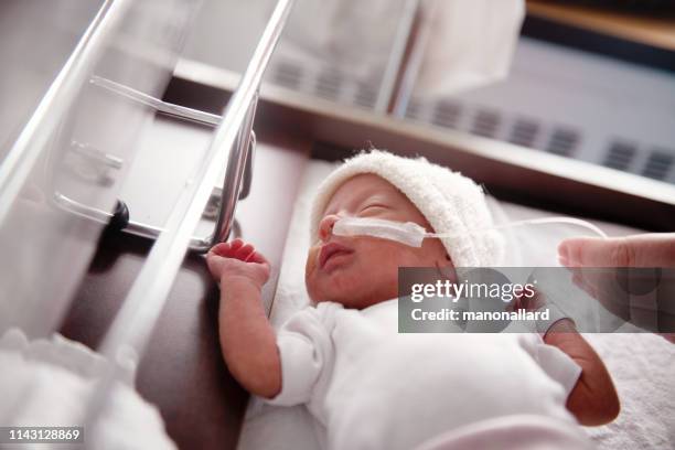 母親在醫院照顧他的早產兒 - premature 個照片及圖片檔