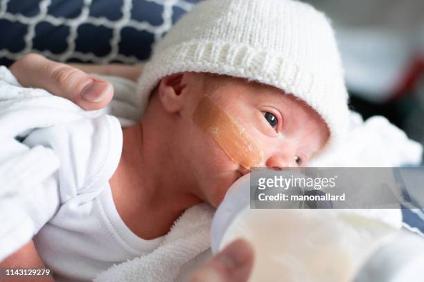 mother taking care of his premature baby at hospital - baby bottle stock pictures, royalty-free photos & images