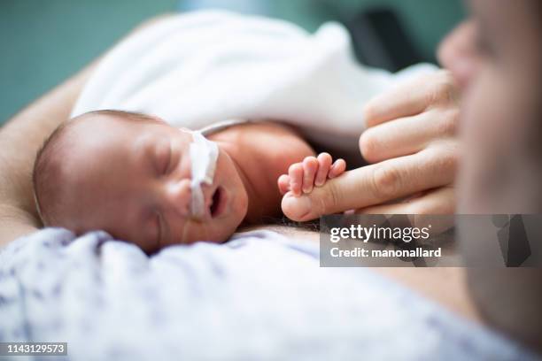 father taking care of his premature baby doing skin to skin at hospital - premature baby stock pictures, royalty-free photos & images