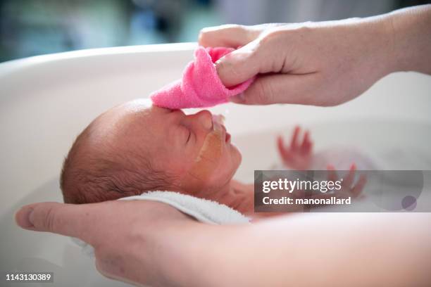 eltern geben ein bad in ihrem vorzeitigen babyat krankenhaus verpackt - mother and baby taking a bath stock-fotos und bilder