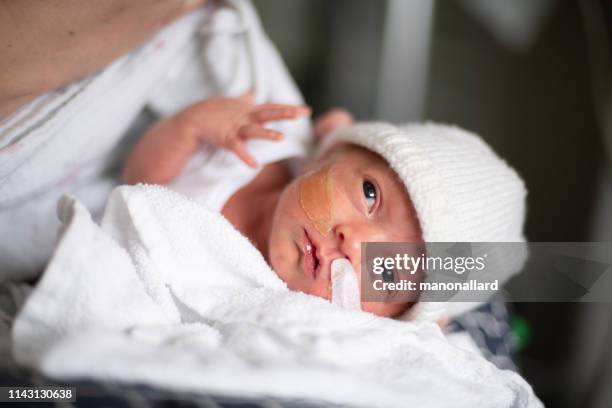 mother taking care of his premature baby at hospital - premature baby stock pictures, royalty-free photos & images