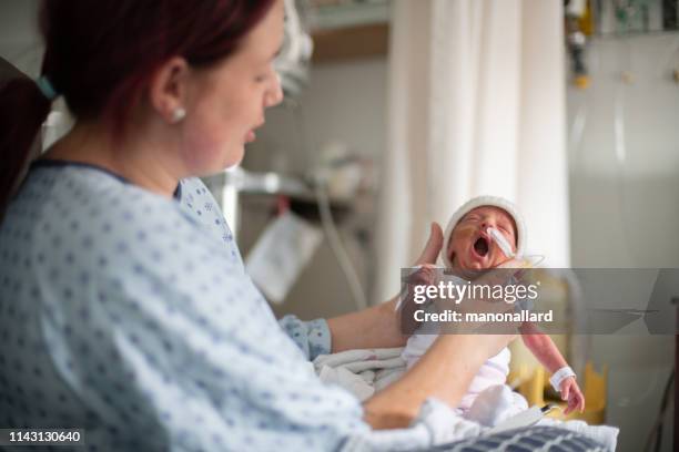 mother taking care of his premature baby at hospital - premature baby stock pictures, royalty-free photos & images