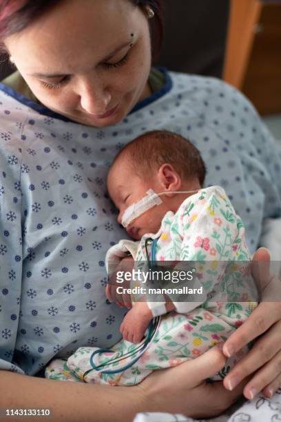 mutter kümmert sich im krankenhaus um sein frühgeborenes - nicu stock-fotos und bilder