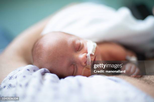 father taking care of his premature baby doing skin to skin at hospital - premature baby stock pictures, royalty-free photos & images