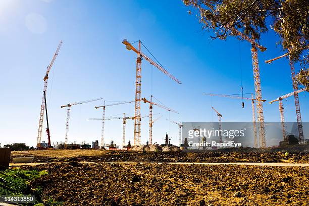 forest of cranes (series) - cape town stadium stockfoto's en -beelden